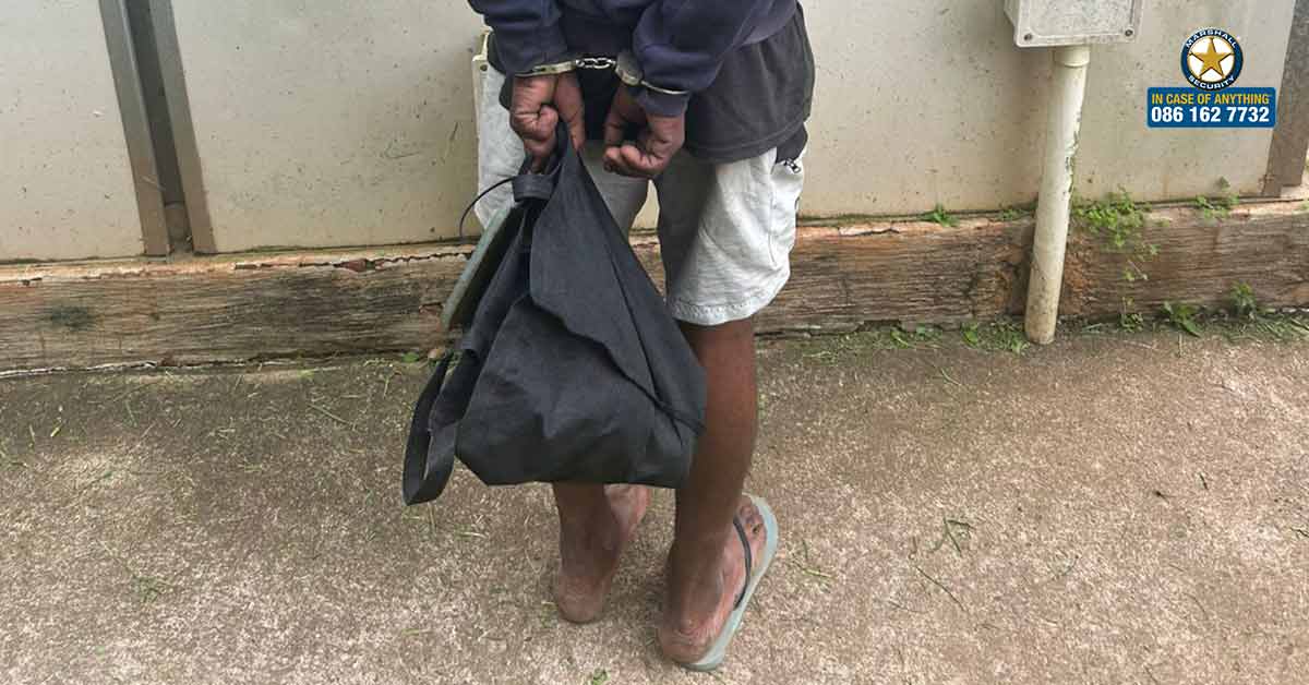 Wanted Glen Hills Theft Suspect Apprehended in Avoca - Marshall Security