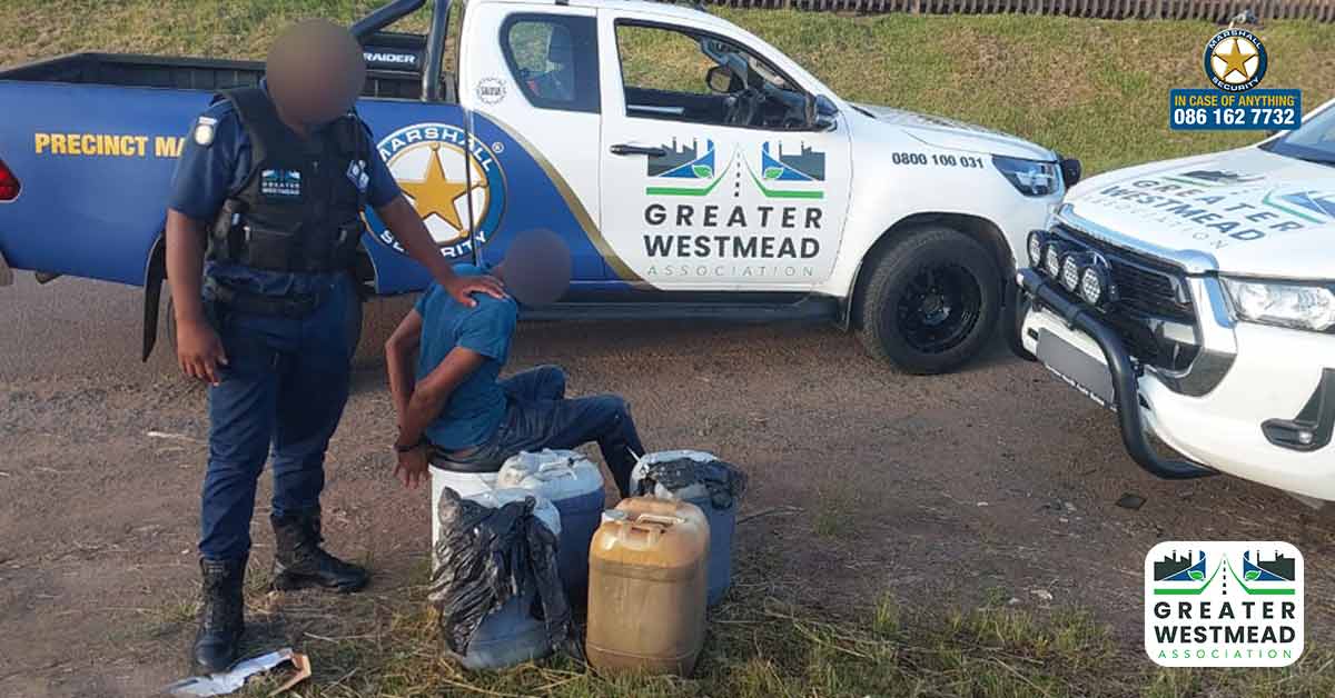 Diesel Theft Suspect Apprehended in Westmead - Marshall Security