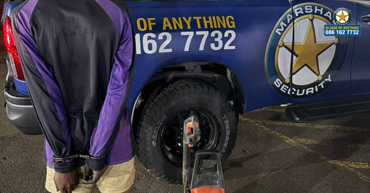 Proactive Patrol Examples Proactive Crime Prevention Patrol Leads to Arrest and Recovery